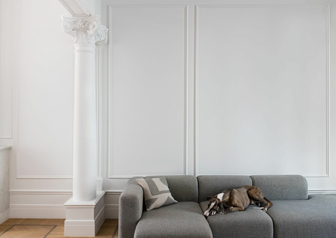 Колонна Orac Decor в гостиной с молдингами на стенах